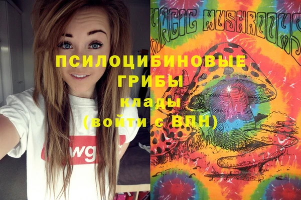 MDMA Белокуриха