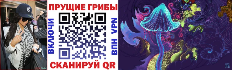 закладки ОМГ ОМГ как войти Псилоцибиновые грибы Psilocybine cubensis Верещагино